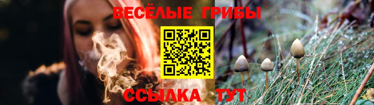 Галлюциногенные грибы Psilocybine cubensis Мытищи